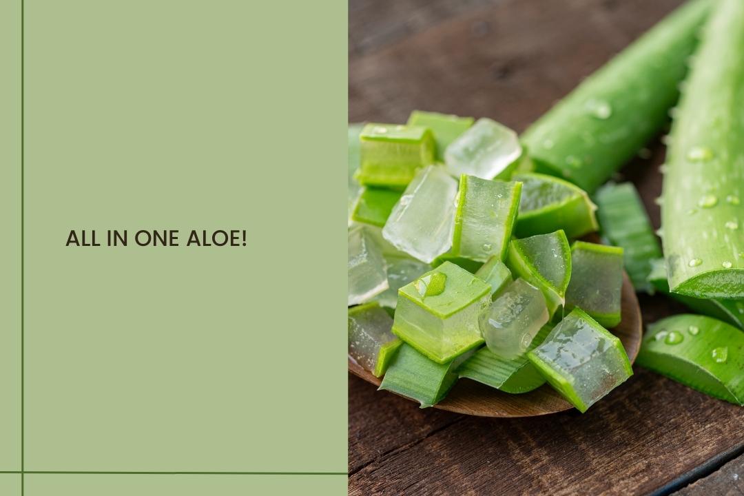 All in one Aloe! - Curl Cure