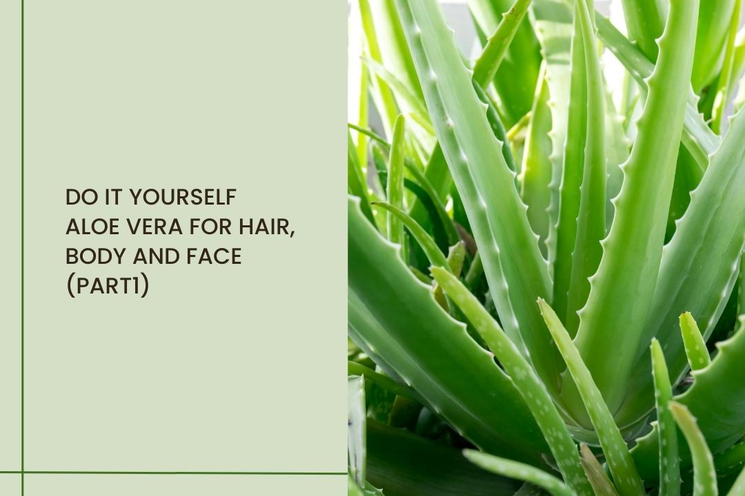 Do It Yourself- Aloe vera for hair, body and face (Part 1) - Curl Cure