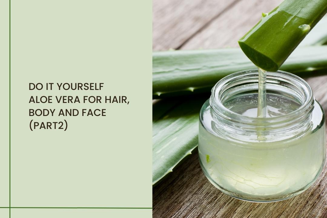 Do It Yourself- Aloe vera for hair, body and face (Part 2) - Curl Care