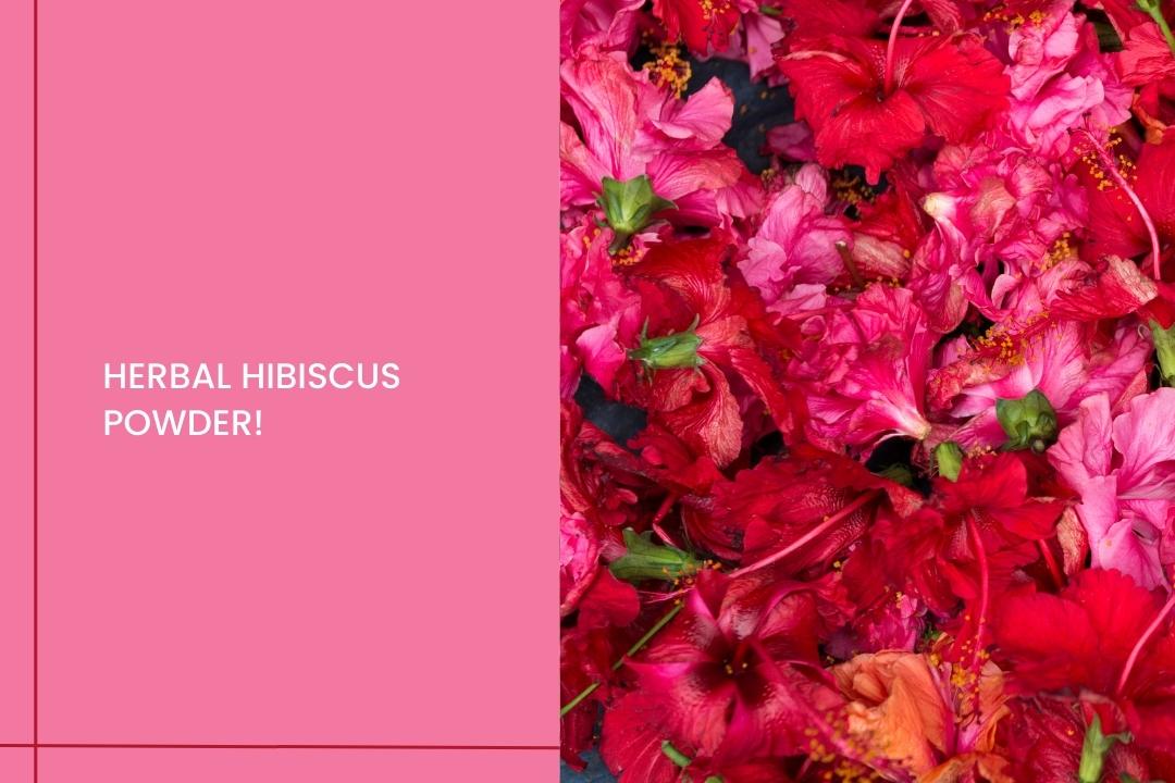 Herbal Hibiscus Powder! - Curl Care