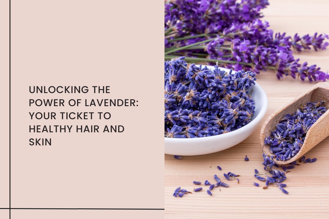 Unlocking the Power of Lavender: Your Ticket to Healthy Hair and Skin - Curl Cure